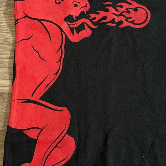 Fireball Cinnamon Tshirt Size Large - Picture 2 of 7